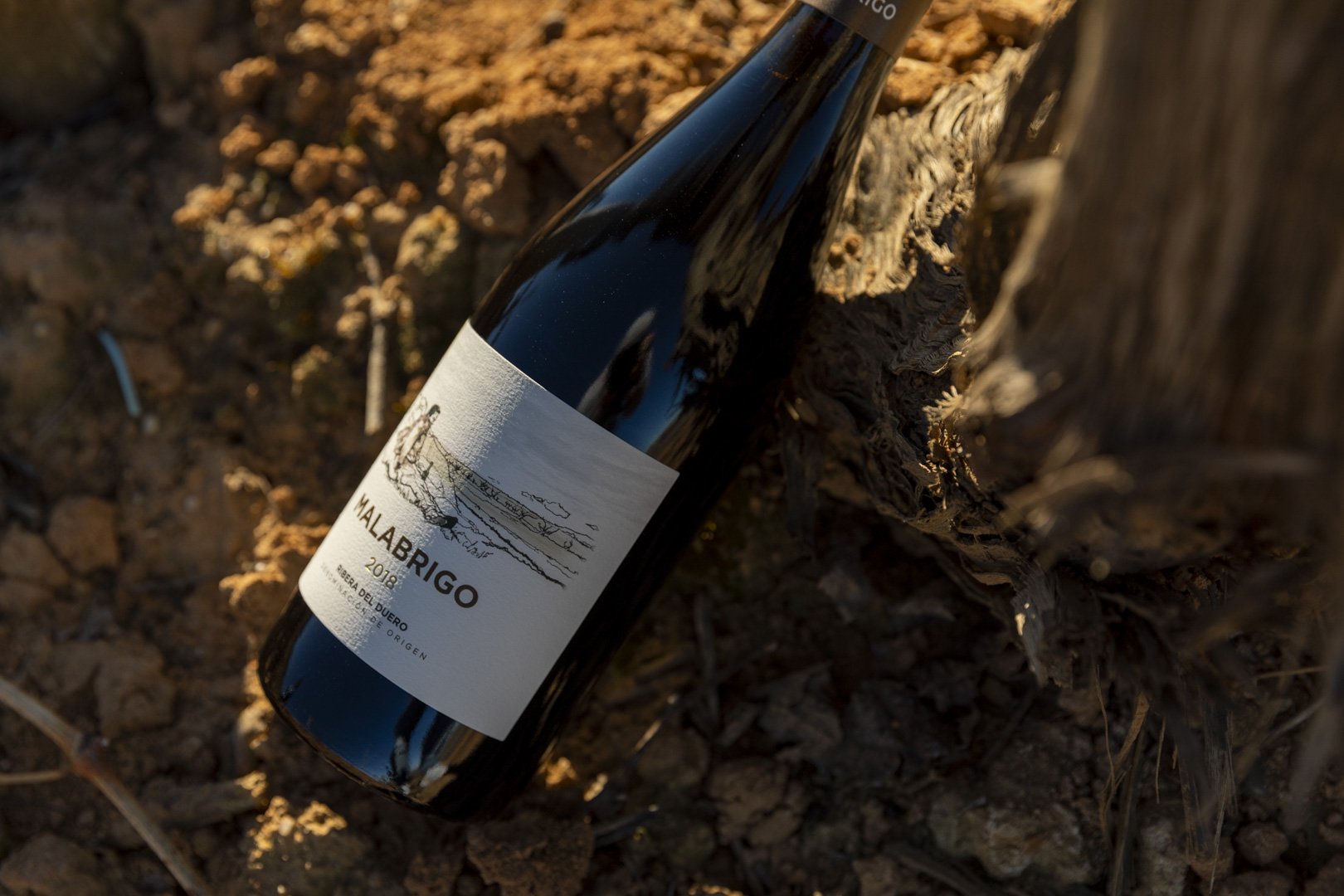 Una botella de vino Malabrigo.