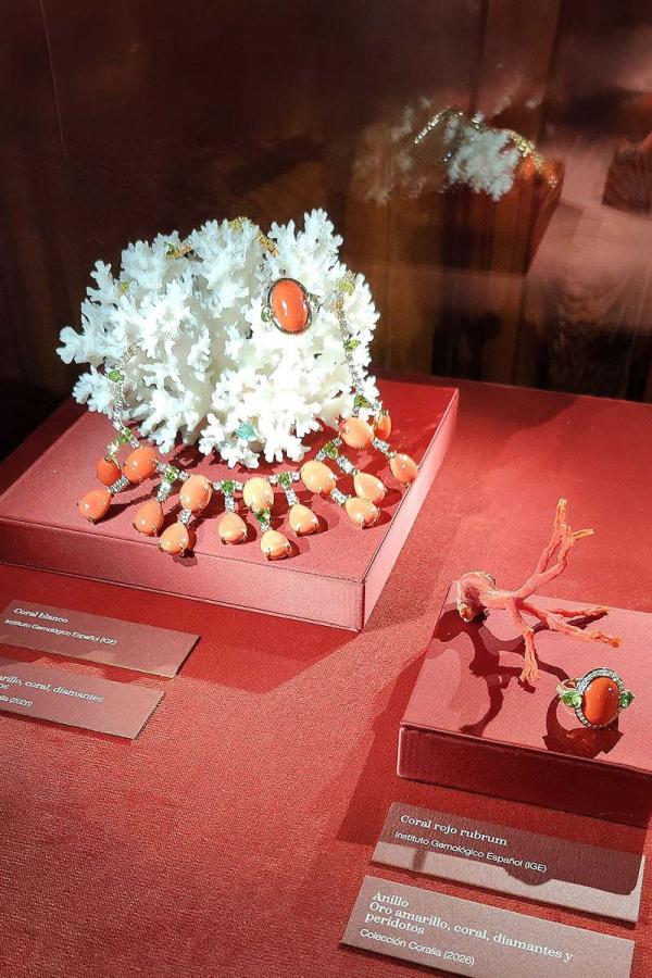 A display case of coral jewellery: a white coral branch with a coral ring, a coral-and-peridot necklace, and a red coral branch with a ring, on red stands (Coralia collection)